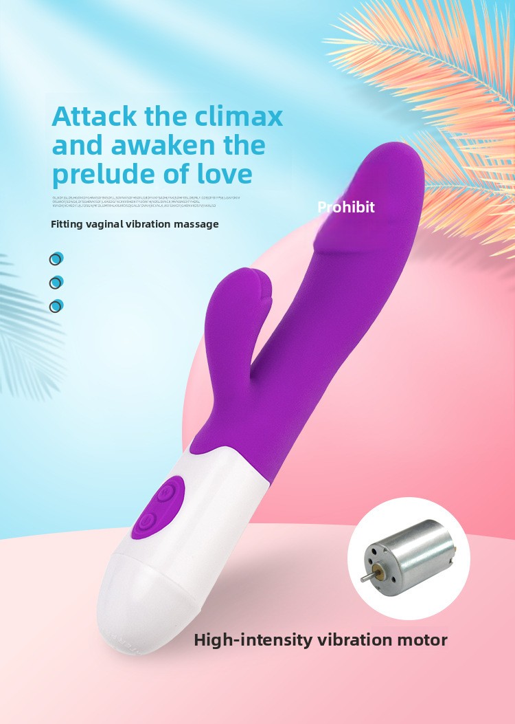 Multi-Speed Silicone Insertable Vibrator product detail 1