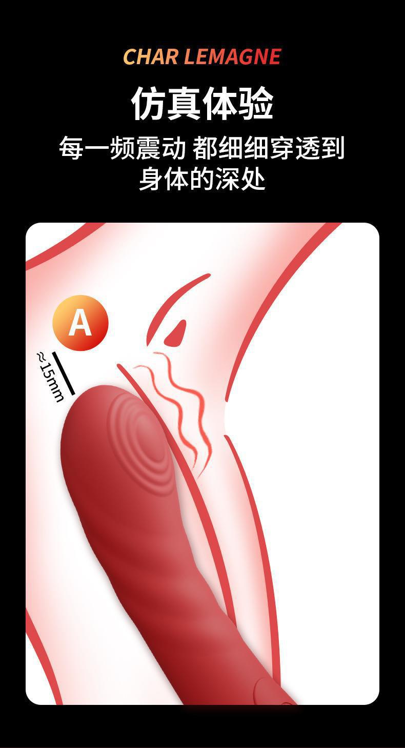 Rechargeable Dual-Head G-Spot Vibrator product detail 6