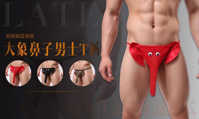 Sheer Mesh Elephant Men's Thong product detail 2